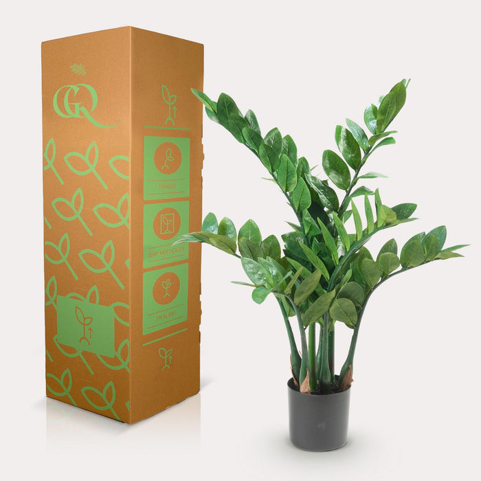 kunstplant-zamioculcas-kamerpalm-70-cm