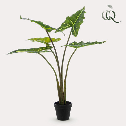 kunstplant-alocasia-frydek-olifantsoor-80-cm