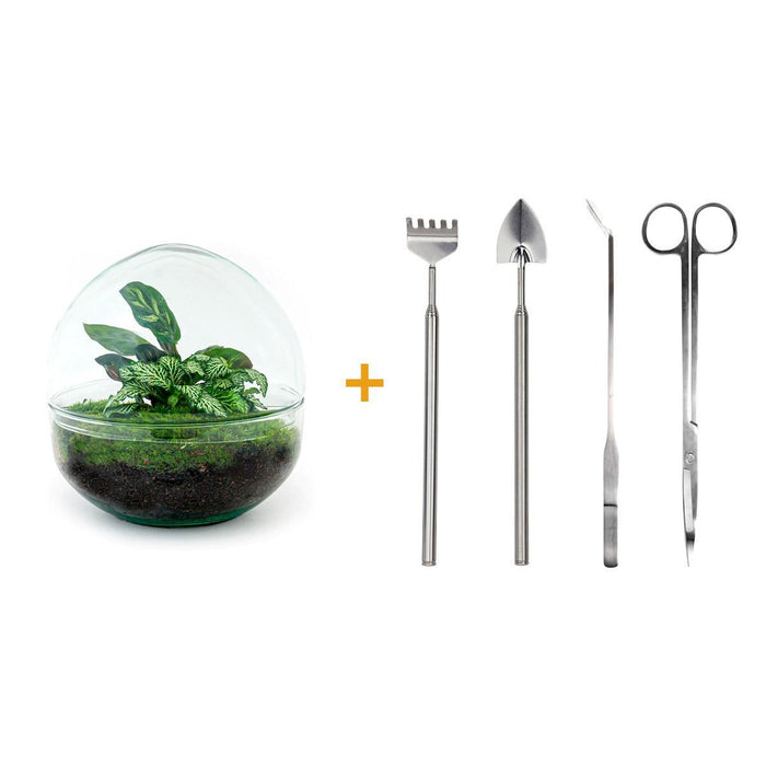 diy-terrarium-dome-↕-20-cm-rake-shovel-tweezer-scissors