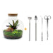 diy-terrarium-fat-joe-rood-↕-30-cm-rake-shovel-tweezer-scissors